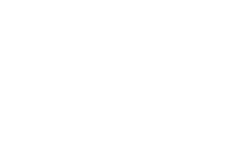 Ace Hardware Logo