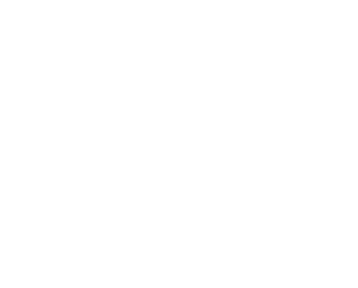Air Canada Logo