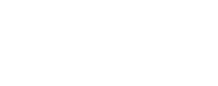 Allegiant Air Logo