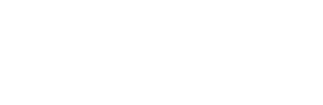 DSW Logo