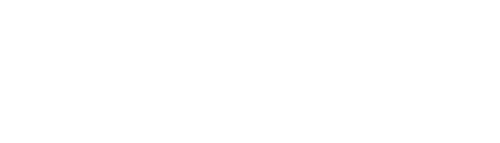 Spirit Airlines Logo